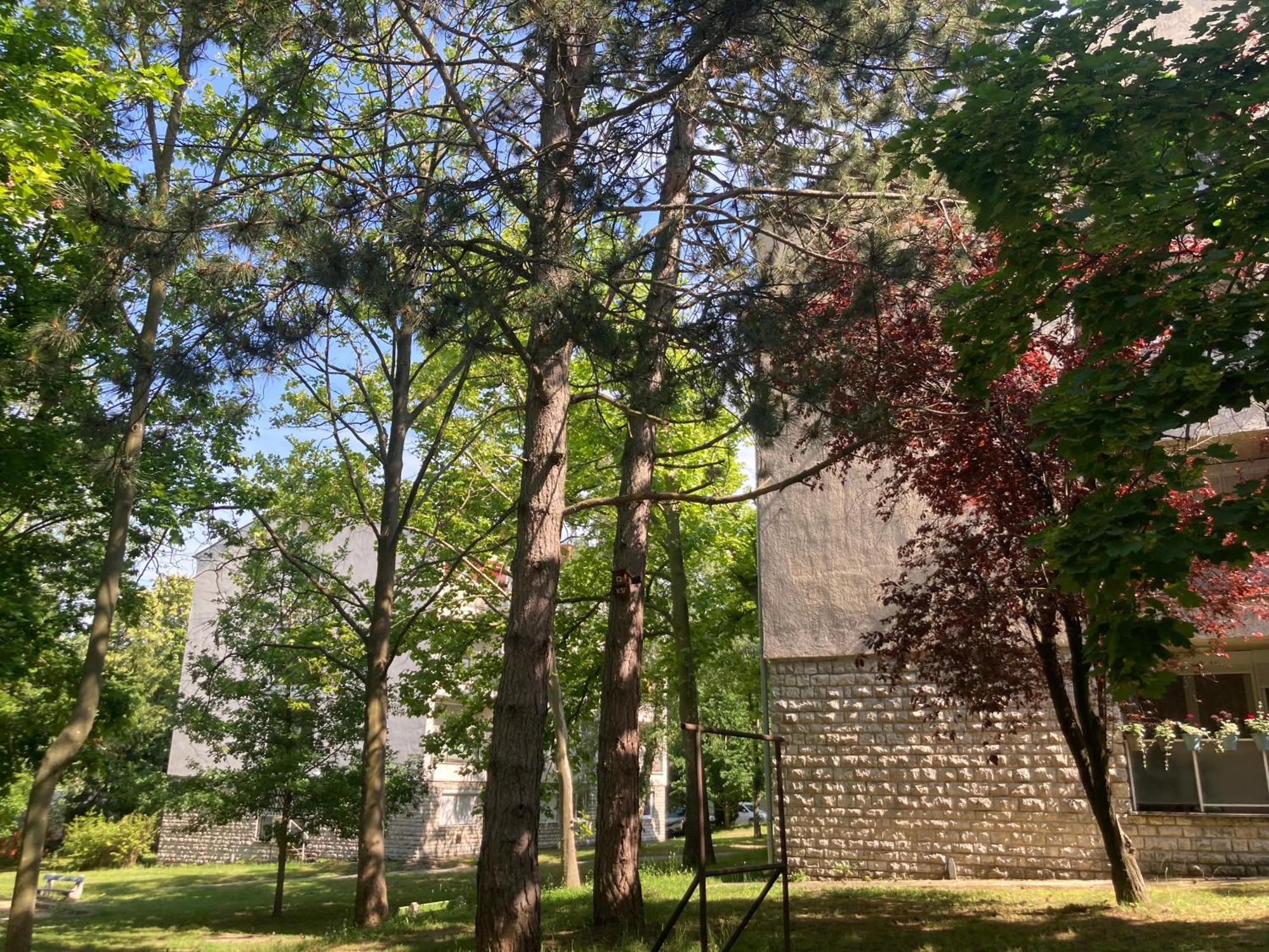 Oázis Apartman Veszprém Exterior foto